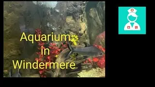 windermere Aquarium