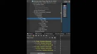 Help Me Solve Why Unity Animation Transforms are Missing 