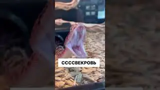 Sígueme comparte y comenta y no olvide darle like SUSCRÍBETE ABAJO DALE MIRA QUE NO SE TE OLVIDE LOL