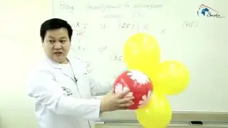 Зирвэ сургалтын төв, Сүхбат багш "Хими Эрлийзжилт ба молекулын геометр"
