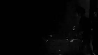 yeah yeah yeahs- troubadour