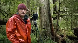 PHOTOGRAPHING those intense spring GREENS
