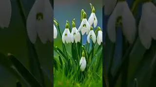 Юлия Друнина  