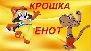Крошка енот.Baby raccoon.