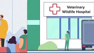 PWCA Explainer Video - Picstory Animation