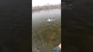 охота в туман 
