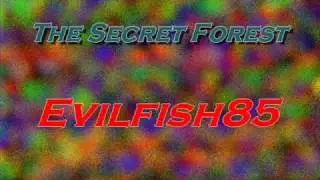 Evilfish85 - The Secret Forest (Casio CTK-711EX)