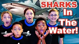 SHARKS In The Water! |  Birthday Special!