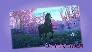 ʕ•ᴥ•ʔ