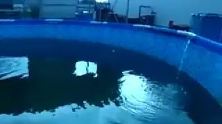 Кларий Слив бассейнов