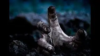 Zombie apocalypse | short film vfx (2018)