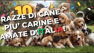 IMPOSSIBILE RESISTERGLI! I 10 CUCCIOLI DI CANI PIÙ CARINI E AMATI IN ITALIA!