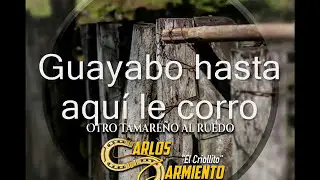 Guayabo hasta aquí le corro