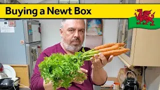 132. First Days of October - Living Alone in Wales (October 2024)