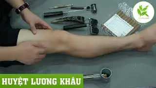 1000 Người ĐỠ ĐAU KHỚP GỐI RẤT NHIỀU Hãy Làm Theo Cách Này | TCL