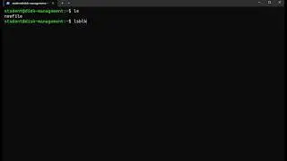 Linux Disk Management   lsblk Command