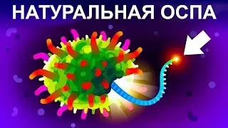 Самый смертельный вирус [Kurzgesagt]