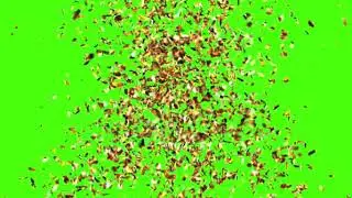 Firework Green screen effect