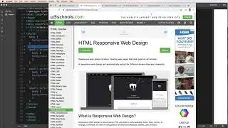 Basic CSS Media Query 101