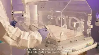 Reina Fabiola: Actualización de Equipos