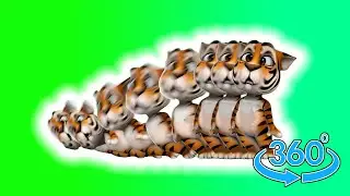 🐯 Tiger Talking Tom VR 🐯