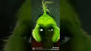 Mr.Grinch.