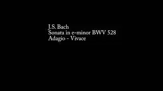 J S  Bach - Sonata in e minor BWV 528 Adagio, Vivace