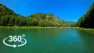 Дикая природа - 360° VR Видео - Видеопанорама - Природа - Алтай