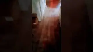 22 февраля 2024 г.