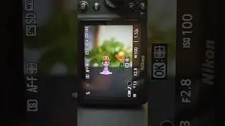 Nikon D3500 auto focus 