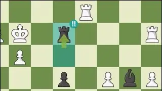 Rook Sac Wins the Bishop
