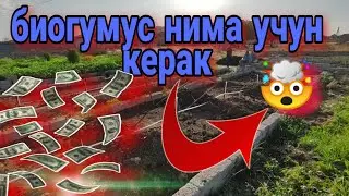 Bu biznesni boshlamoqchi bolganlar/ бу бизнесни бошламокчи булганлар
