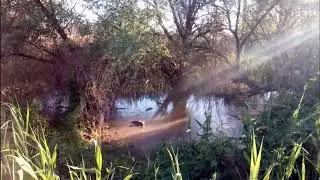 Эх благодать!