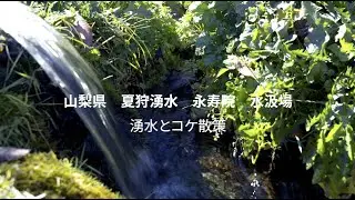 山梨県　夏狩湧水　永寿院　水汲場