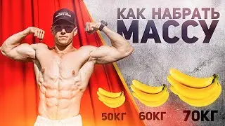 КАК НАБРАТЬ МАССУ??? | НАБОР МАССЫ