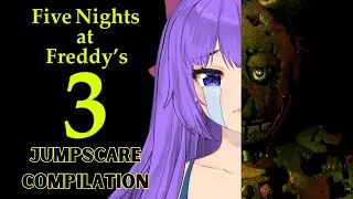 Five Night's at Freddy's 3 Scare Compilation