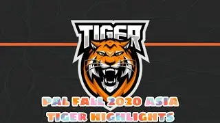 PAL FALL 2020 TIGER HIGHLIGHTS