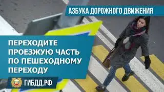 VIDEO 2022 02 05 17 57 24