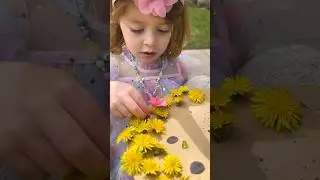 DIY Dandy-Lion Craft! 