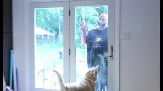 Big Black Man Breaks Into McJuggerNuggets House!