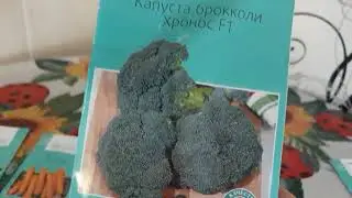 Обзор по семенам овощей на 2021 год.