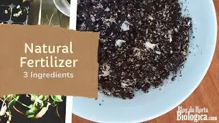 Natural Plant Fertilizer | 3 Ingredients | 7 Ways To Use