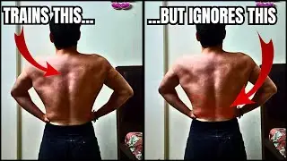 The Most Ignored Muscle in Calisthenics
