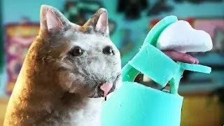 HOW TO: Build an Animal Puppet - DIY Tutorial