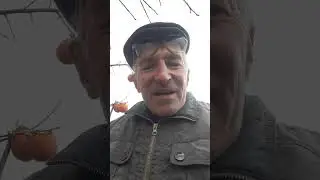 Не хватает черных пакетов для отправки домой, в Россию. Протягивают ножки, совсем без одежки