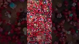 aao Holi dikhata hun #holi #holispecial #braj #mathura  #holi2024