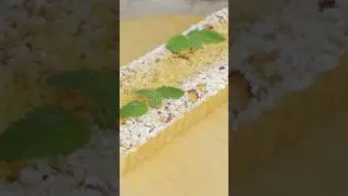 🍏На Скорую Руку! Супер Простой Яблочный Пирог ШАПОКЛЯК!