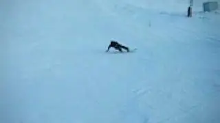 Colin & Roy Snowboard Adventure