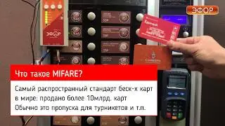 Программы лояльности с Эфор