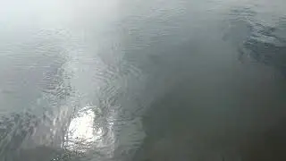 RECORD CAMERA VIDEO XIAOMI NOTE 11 PRO